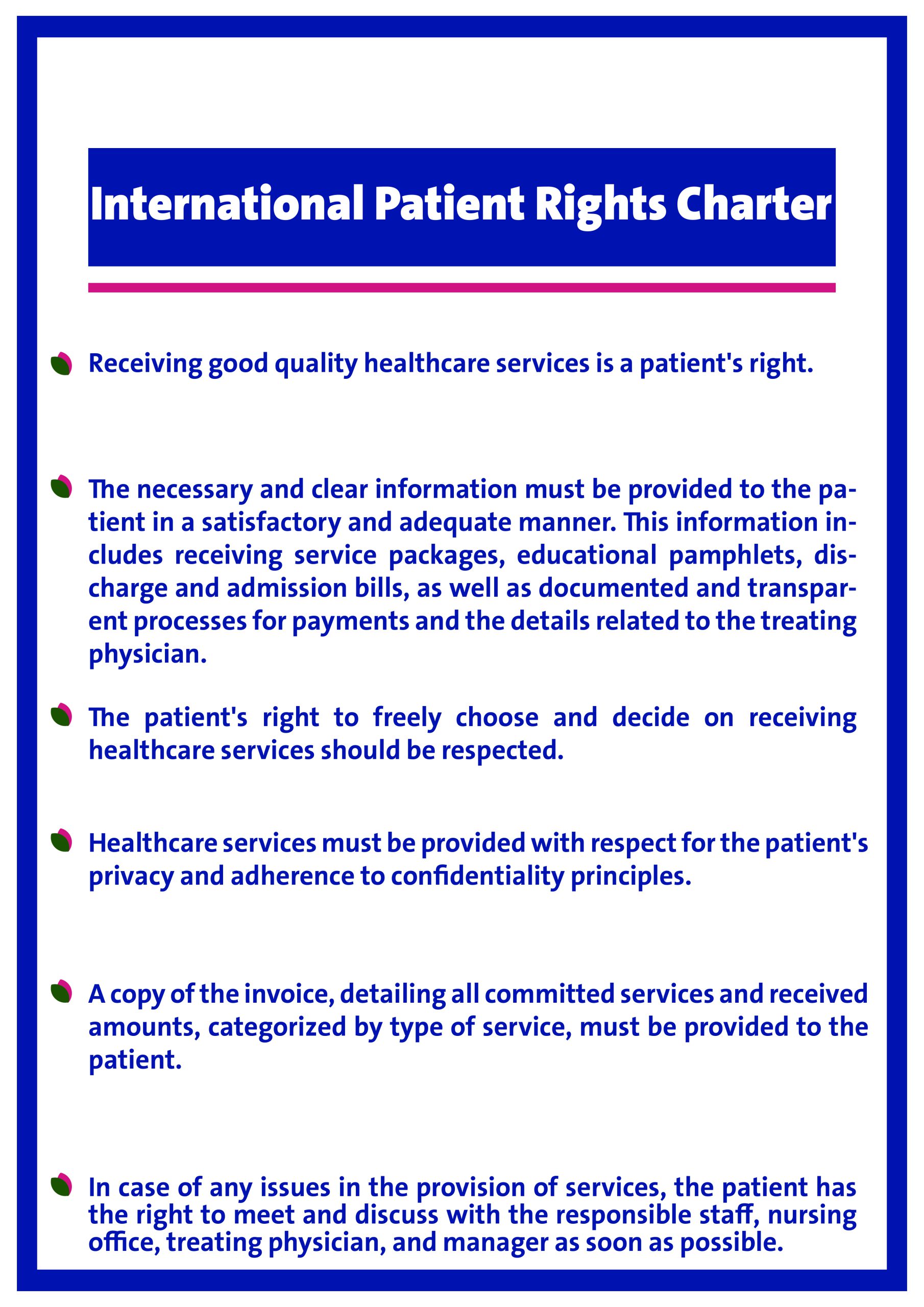 International Patient Rights Charter
